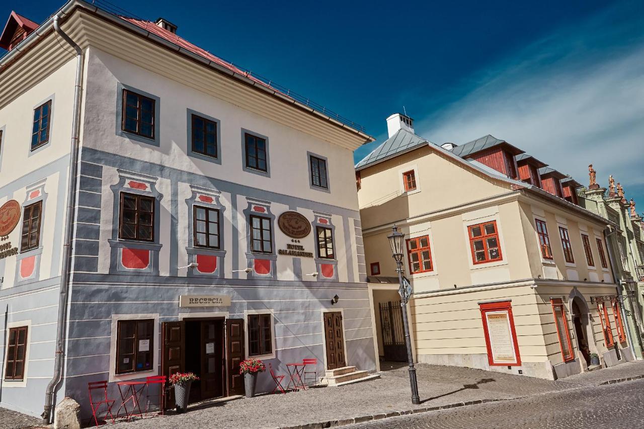 Salamander Ξενοδοχείο Banská Štiavnica Εξωτερικό φωτογραφία